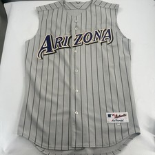 Arizona Diamondbacks Majestic Authentic Jersey 44 Vintage Pinstripe Sleeveless picture