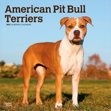 American Pit Bull Terriers | 2027 12x24