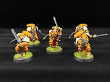 Warhammer - 40K - Space Marines - Primaris Intercessors X5 - Painted picture