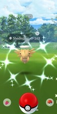 Shiny Shedinja - TRADE 1 Mil stardust - Read Description picture
