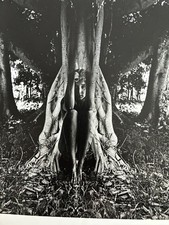 Jerry Uelsmann Gelatin Silver Print Woman Tree Surreal 10x8 Stamped Vintage picture