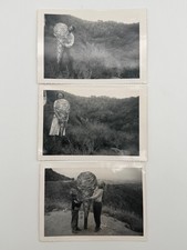 Vintage B&W Photograph Lot of 3 Ice Cream Woodland Hills California May 31, 1952 picture