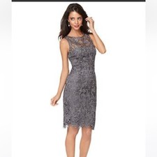 Adrianna Papell Evening Dress Gray Lace Overlay Sleeveless Lined Sheath Size 14 picture