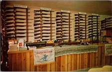Vincent Alessi Gun Shop St Clair PA Winchester Remington Savage Guns Postcard picture