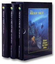Reef Set picture