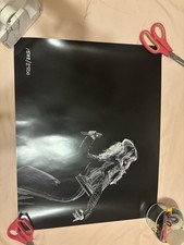 Limited Edition Taylor Swift lithograph “Don’t Blame Me” hand numbered 1502/2500 picture