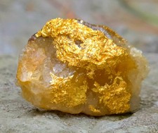 Gold Ore Specimen 5.43g Telluride Gold ☆TARRIFF PAID SHIPPING☆EXCEPTIONAL  picture