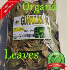 Soursop leaves, soursop leaf, Natural organic graviola leaves for tea picture