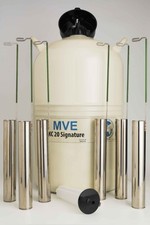 XC 20 Semen Tank - Most popular semen tank in the world picture