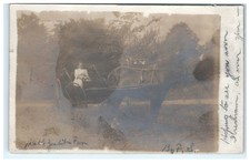 1906 Borodino New York Young Girl Horse Carriage RPPC picture