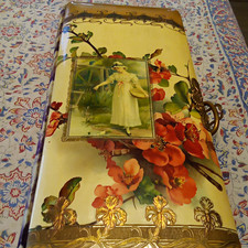 Celluloid Antique Floral Slip-In 48  Photo Album Book Metal Latch Beige Gold Red picture