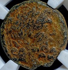 Roman Emperor Augustus 13AD-14AD Coin NGC Certified Genuine Ancient Zeus and Ram picture