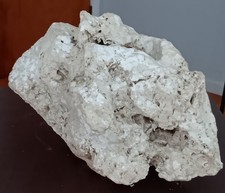 LIMESTONE ARTIFACT AND FOSSILS 19 LB ROCK picture