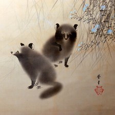 ​Vintage Japanese Hanging Scroll Kakejiku Tanuki Raccoon Dog Moon ASO461 picture