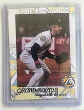 Phish baseball cards 2024 Summer Tour Series - Mike Gordon - Grand Rapids /41 picture