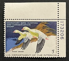 Travelstamps: 1977 US DUCK STAMPS  SCOTT #RW44 $5 ROSS's GEESE MINT MNH OG picture