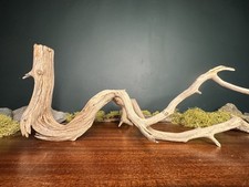 17” Manzanita Driftwood Branch, Aquarium, Terrarium, Aquascape,Home Decor picture