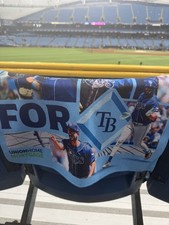 2026 Tampa Bay Rays Postseason Rally Towel picture