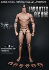 US ZC Toys S00 1/6 Muscular Male 12