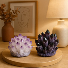 2PCS Amethyst Duo Power Set Natural Clusters Light & Dark Purple Crystal Decor picture