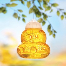 Stylish Chemical Free Wasp & Yellowjacket Insect Trap picture