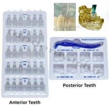 Dental Aesthetic Printing Restoration Filling Tool Anterior Posterior Teeth picture