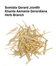 Somlata Gerard Jointfir Khanta Asmania Branch Stem Whole 100g(3.5oZ): picture