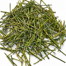 1LB Somlata Soma Joint Fir Organic Herb Stimulating Tea Non-GMO Vegan picture