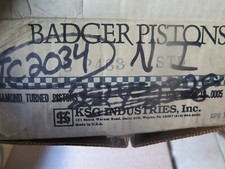 Badger P483 STD. Pistons Set of 8. Fits: Pontiac V8 4.9L 1977-81 (17B1) picture