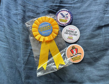Official Waffle House Pins (READ DESC rare, new ones, limited edition, varying) picture