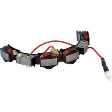Stator for Various Briggs & Stratton Motors 391529 592828 picture