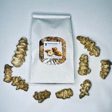 7 Jerusalem Artichoke (Sunchoke) Tubers For Planting.  Grown by Greenhouse PCA picture