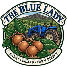 6 lbs Macadamia Nuts. People and Birds favorite nut Harvested and Shipped Daily picture