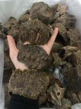 Agarwood Char Oud Chips Best Quality Incense Aroma Natural Wild And Rare (12g) picture