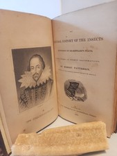 Insects mentioned in Shakespeare. 1842 Illustrated. picture