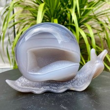 1.72LB Natural agate geode quartz crystal engrave snail skull healing gift decor picture
