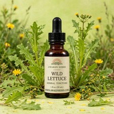 Wild Lettuce Tincture 1 fl oz | Herbal Liquid Extract Dropper picture