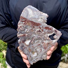 1.26LB Natural Crazy Lace Agate Slab Polished Raw Mineral Specimen Crystal Heali picture