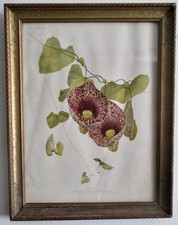 Antique Hand-Colored Dated Floral Chromolithograph With Gilt Frame/Glass picture