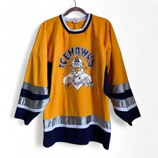 Vintage Winston Salem IceHawks Hockey Jersey #13 Marion Sz M College NHL picture