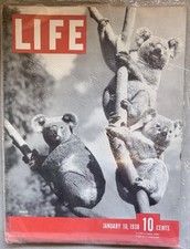 VTG Life Magazine January 10, 1938 Koalas, Panay Incident, US Gunboat Bombed picture