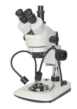 Diamond & Gem Microscope 7-100× Darkfield Trinocular Stereo LED Fibre Light picture