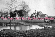 SF 544 - Boss Hall Farm, Sproughton Road, Ipswich, Suffolk c1905 picture