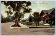 Pico Heights (Los Angeles) CA Big Tree on Corner of Residential Street c1910 picture