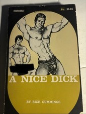 A NICE DECK - 1973 RICH CUMMINGS - SURREY HIS VINTAGE PULP NOVEL GAY INTEREST picture