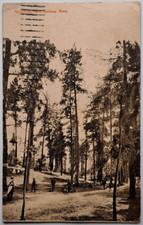 1908 Spokane WA Natatorium Park - Early View of Park with People & Trees picture