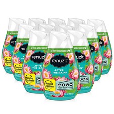 Renuzit After the Rain Air Freshener Cone Pack of 12 Nonstop Freshness 7oz picture