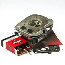 Briggs & Stratton Cylinder Head - Cylinder #1 | 84001918 OEM - Replacement P picture