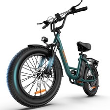 URLIFE E20 Electric Bike 1000W 48V 13AH 20