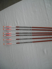 6 NEW EASTON Autumn Orange Limited Edition 390 Spine 6MM picture